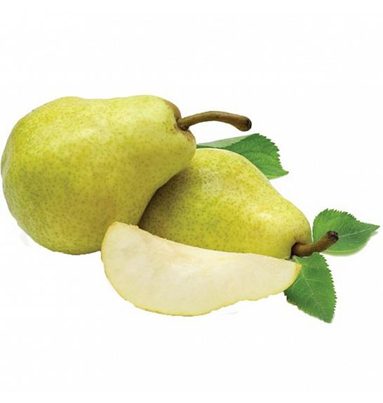 Pyrus communis Condo C5 Lit. 80-100 cm Patio