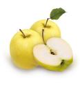 Prtlikava jablana Golden Delicious