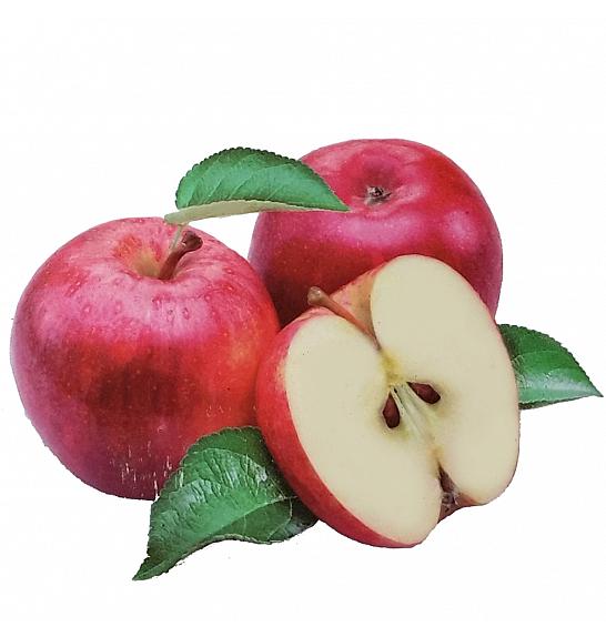 Malus domestica Discovery C5 Lit. 80-100 cm Patio