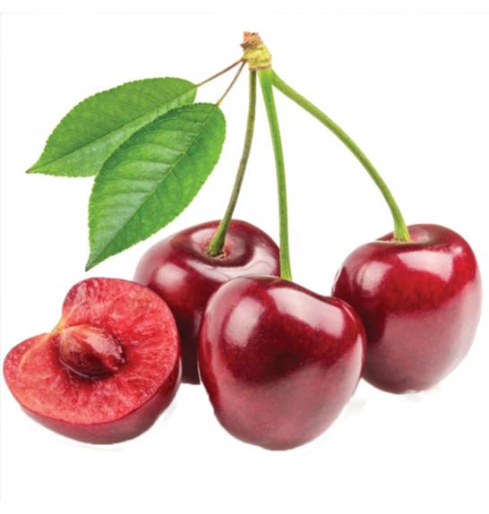 Prunus avium Sylvia C5 Lit. 80-100 cm Stebričasta