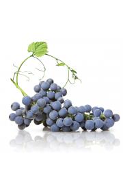 Namizno grozdje Zafira