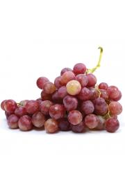 Namizno grozdje Coralla