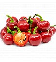 Paprika Cherry Sweet F1
